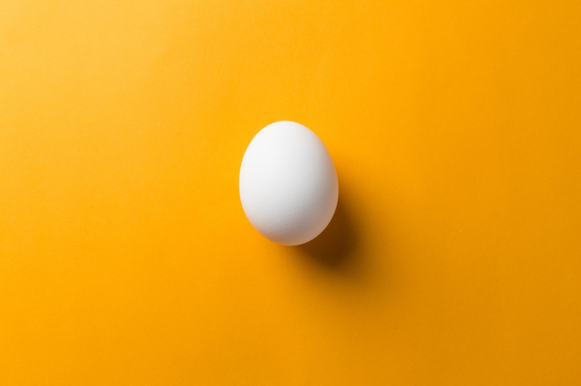 White egg and egg yolk on the yellow background. topview